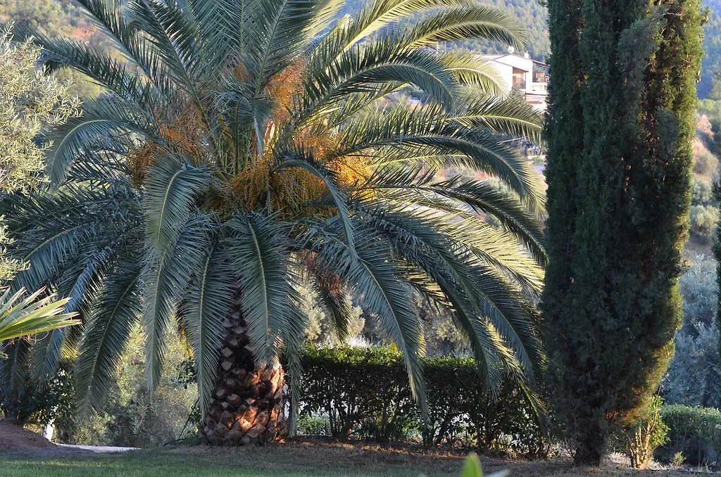 Kelyfos Hotel Neos Marmaras